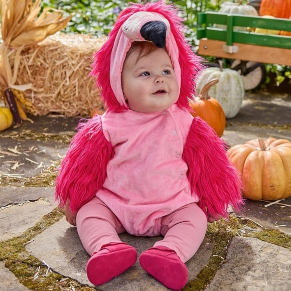 Pottery Barn Kids Fuchsia Flamingo Costume - Picture 3 of 8